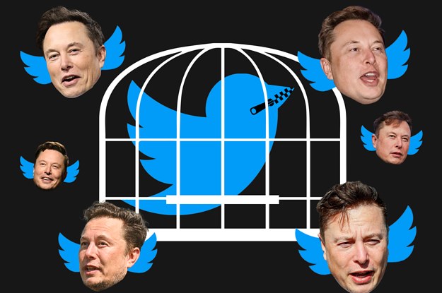 Elon Musk Doesn’t Seem To Realize That Twitter Is Already A Free Speech Warrior In Countries Where It Actually Matters.