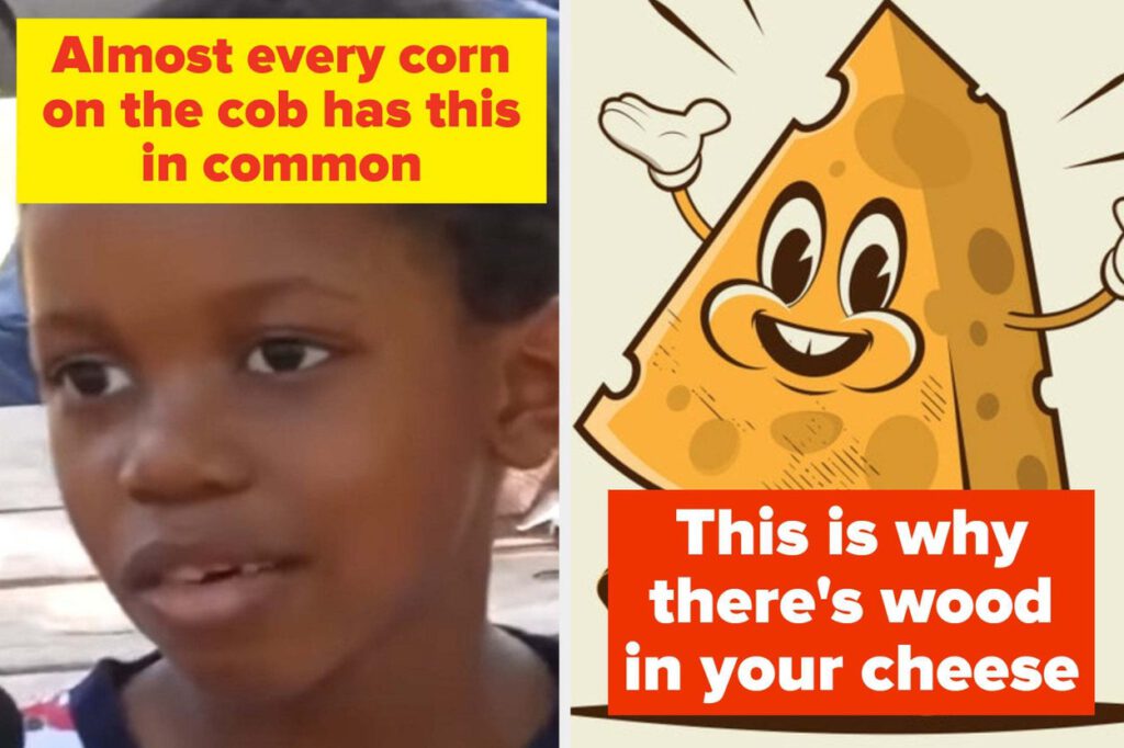 21 Science-Based Food Facts I Refuse To Accept