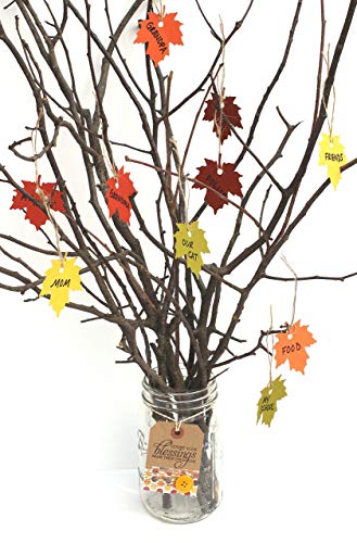 Count your Blessings Thankful Thanksgiving Tree Kit