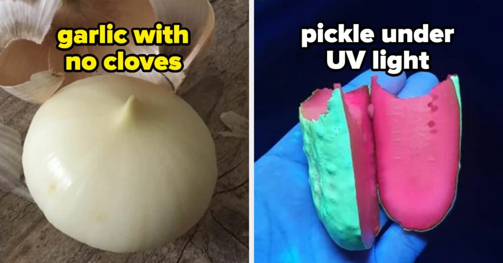 17 Fascinating Food Pictures That Blew My Mind